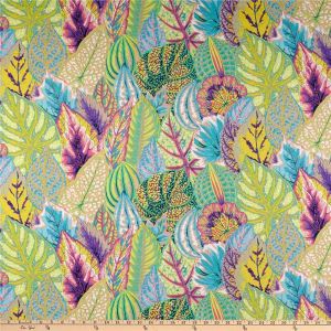 Coleus - Contrast (Philip Jacobs)