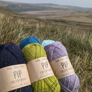 PIP Colourwork 100% british wool 25g