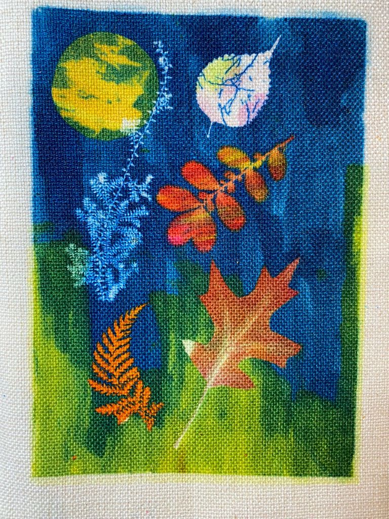 Course: Beginners Fabric Printing: Date TBC
